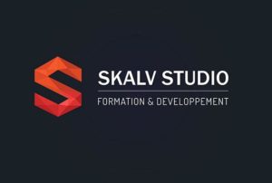 Projet Skalv Studio