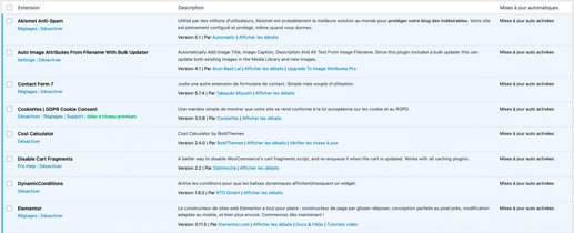 mises a jour automatiques pour sécuriser wordpress en 2023